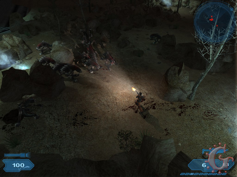 shadow04.jpg