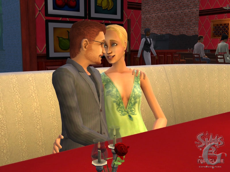 sims2nl01.jpg