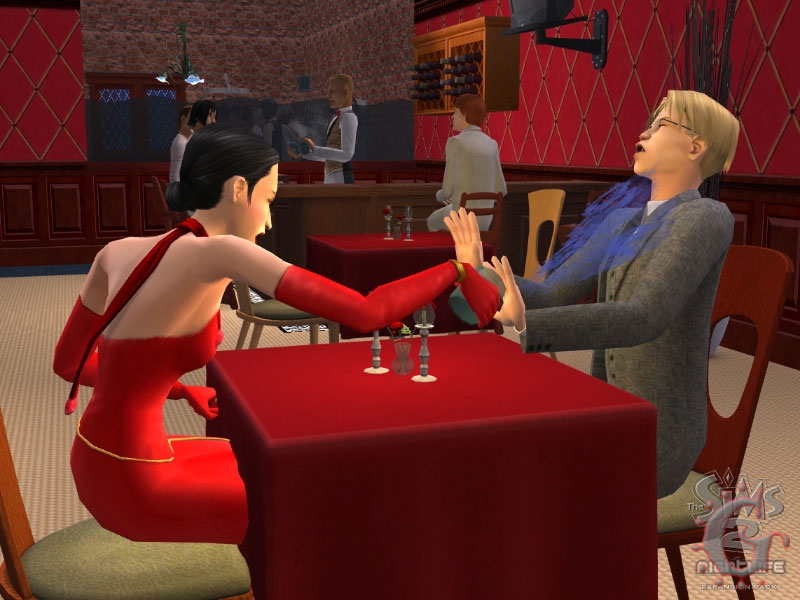 sims2nl02.jpg