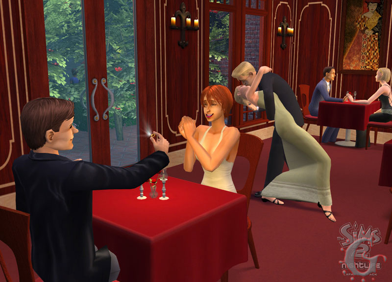 sims2nl03.jpg