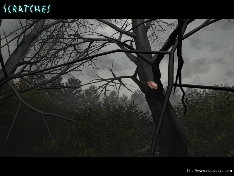 scratches02.jpg