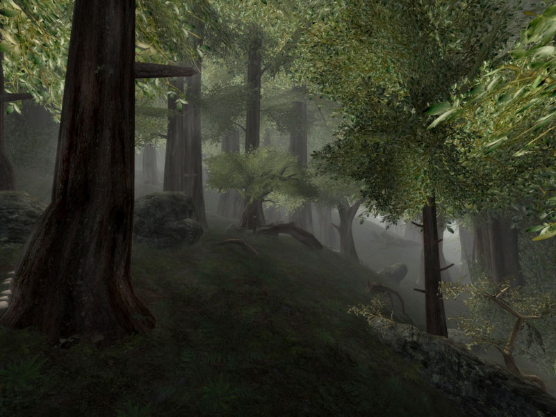 lotro02.jpg