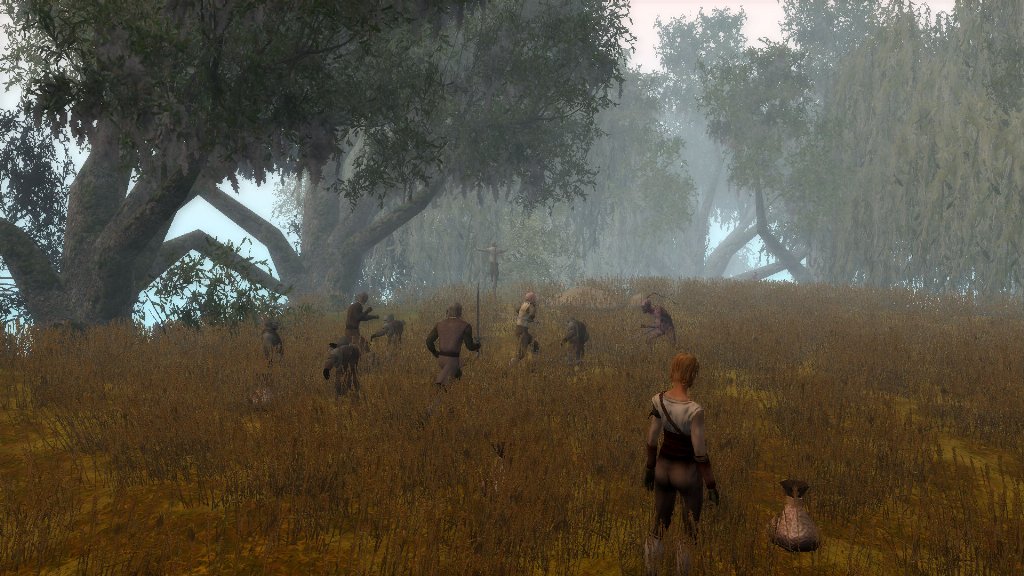 nwn14.jpg